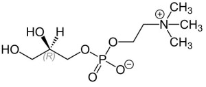 Estrutura química alfa-GPC