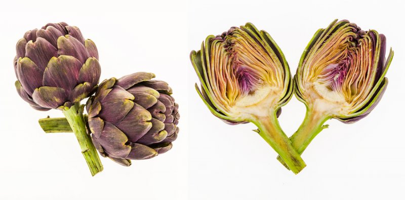 Artichokes boost memory through Long-Term Potentiaton