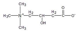 L-Carnitine chemical structure