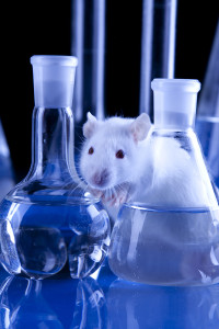 Test Tube Mouse