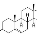 DHEA