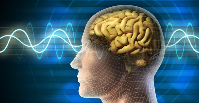 Huperzine-A for brain Huperzine-A for brain