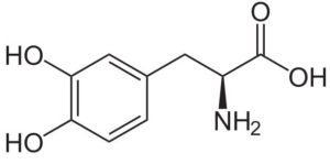 Estrutura química da L-DOPA