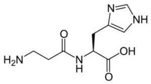 l-carnosina