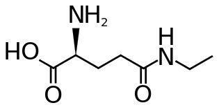 l theanine nmda antagonist