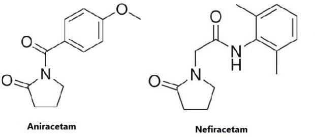 Discover Nefiracetam as a Nootropic Nootropics Expert