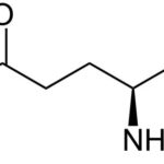 L-Glutamine