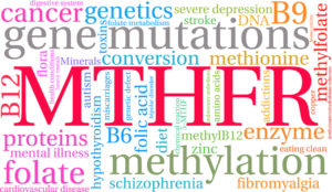 Mthfr gene mutation results in folate deficiency