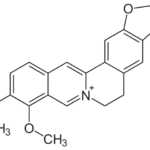 Berberine
