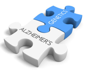 best nootropic supplements to prevent Alzheimer's