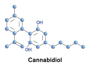 CBD as a nootropic and brain function