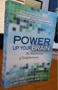 Power Up Your Brain - nootropics book