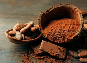 cocao beans, cocao powder, dark chocolate