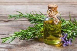 Rosemary as a nootropic