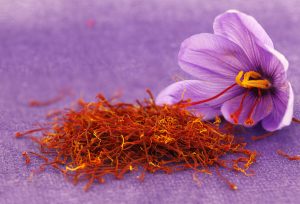 saffron as a nootropic