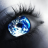 Avatar for A.M
